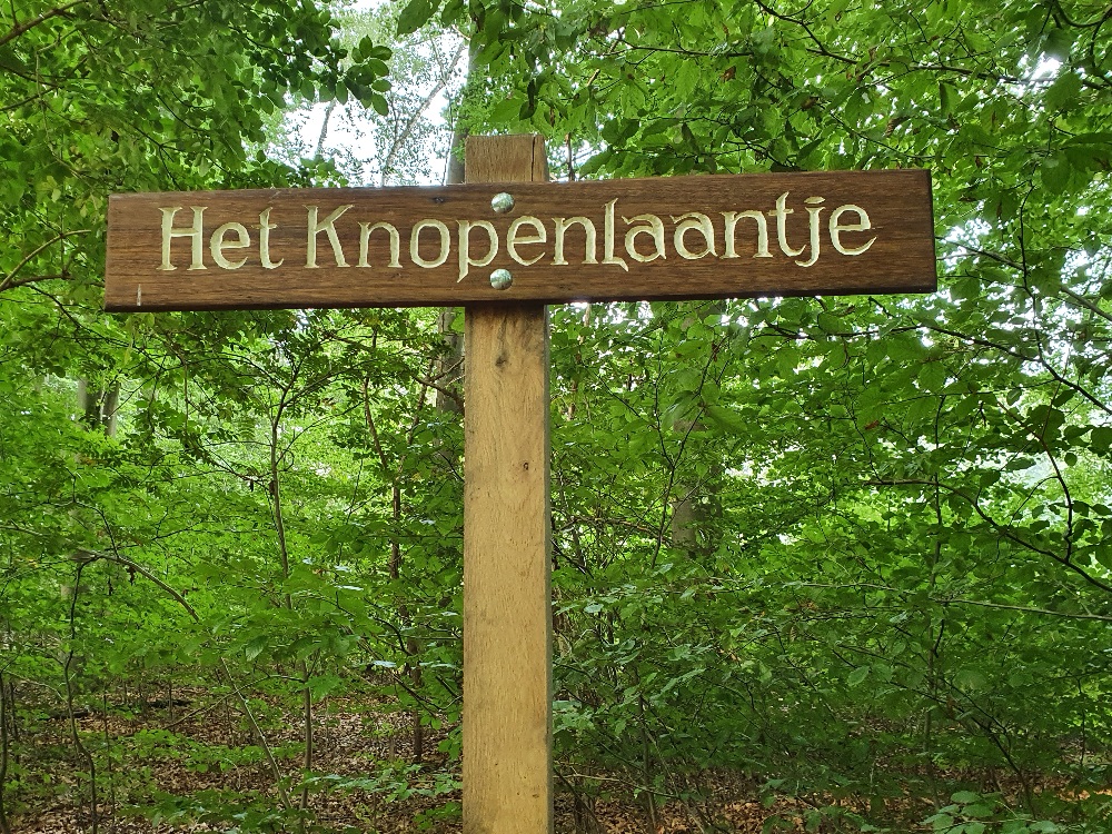 Nieuw verhaal op mijnGelderland