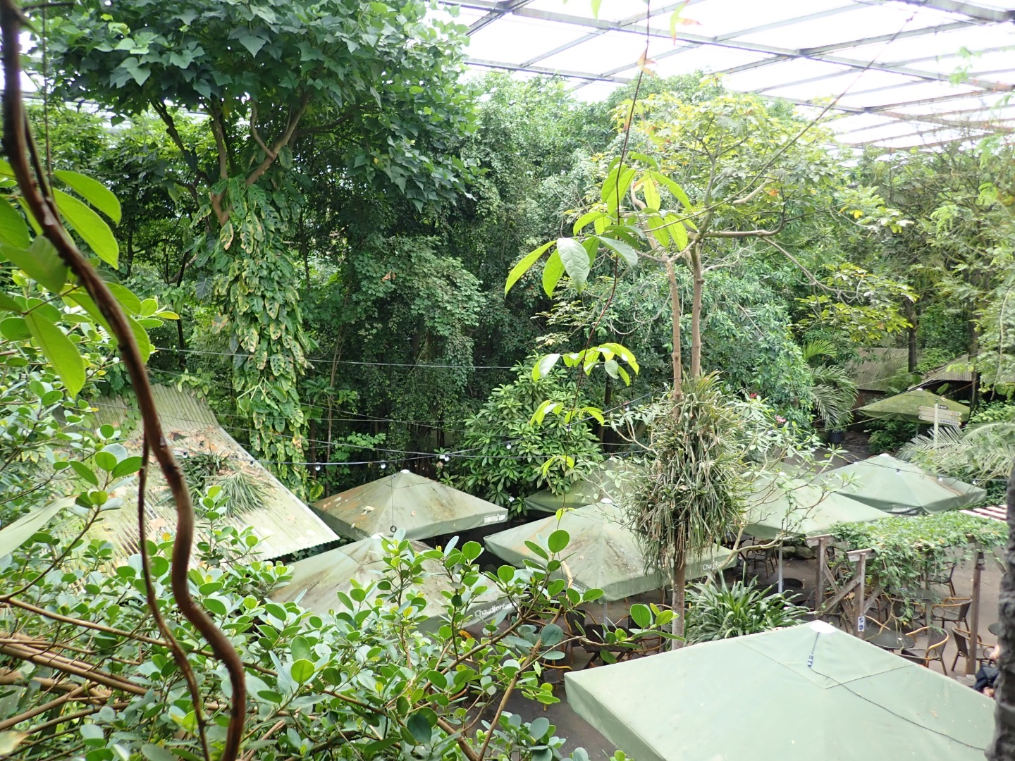 Verwonderlijk De tropische botanische tuinen van Burgers Zoo | Mijn Gelderland TS-59